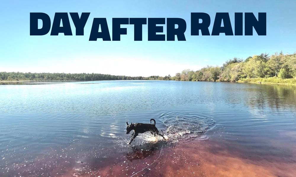 Day After Rain Music NJ Metatape Records Electronica Pine Barrens New Jersey