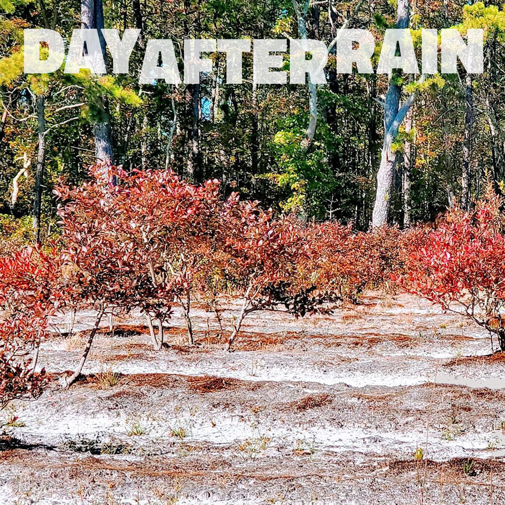 Day After Rain Music NJ Metatape Records Electronica Pine Barrens New Jersey